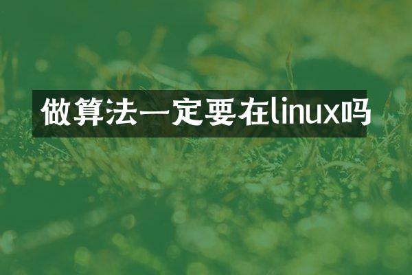 做算法一定要在linux吗