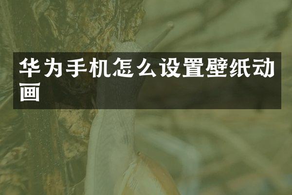 华为手机怎么设置壁纸动画