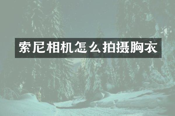 相机怎么拍摄胸衣