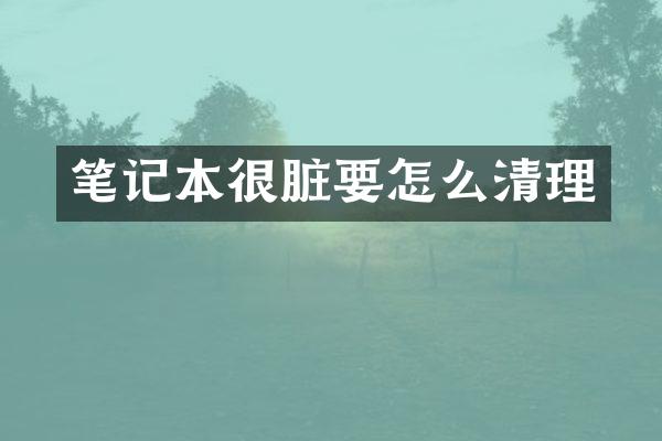 笔记本很脏要怎么清理