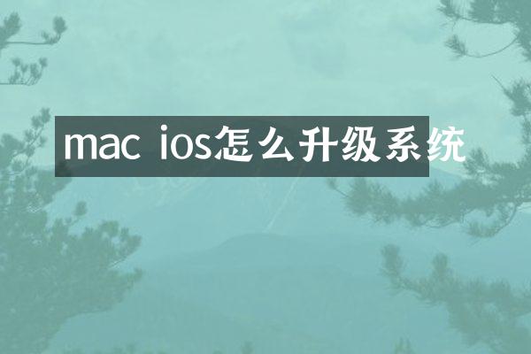 mac ios怎么升级系统