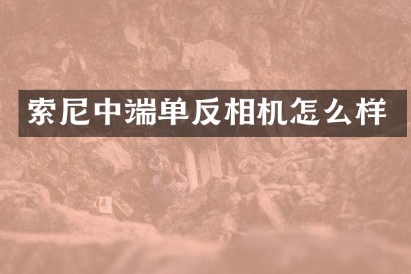 中端单反相机怎么样