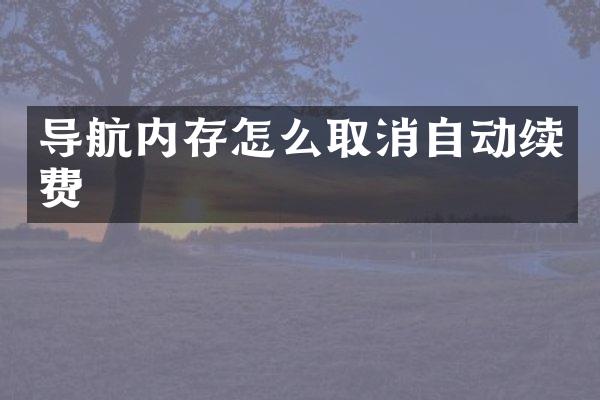 导航内存怎么取消自动续费