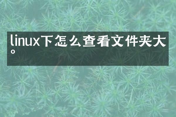linux下怎么查看文件夹大小