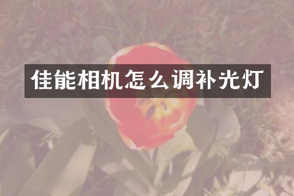 佳能相机怎么调补光灯