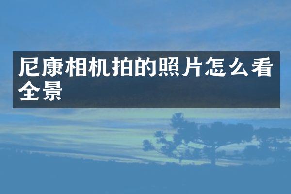 尼康相机拍的照片怎么看全景