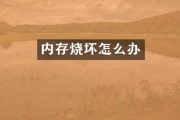 内存烧坏怎么办