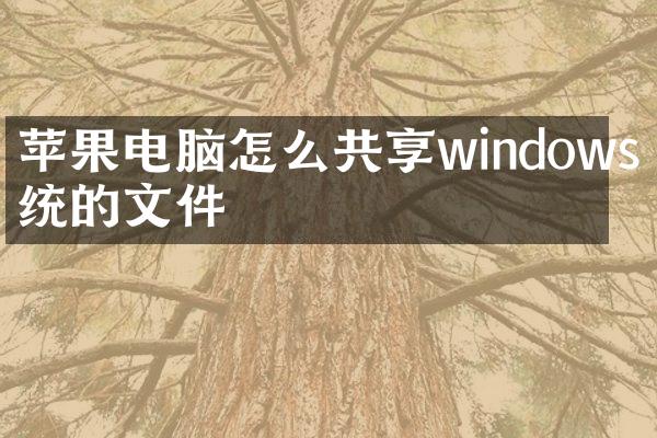 苹果电脑怎么共享windows系统的文件