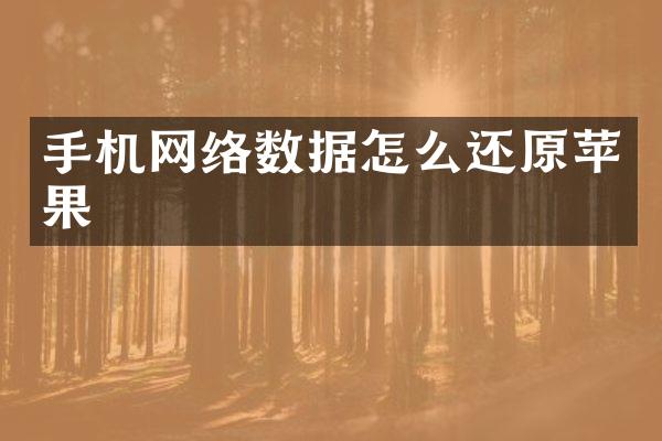 手机网络数据怎么还原苹果