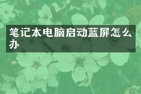 笔记本电脑启动蓝屏怎么办