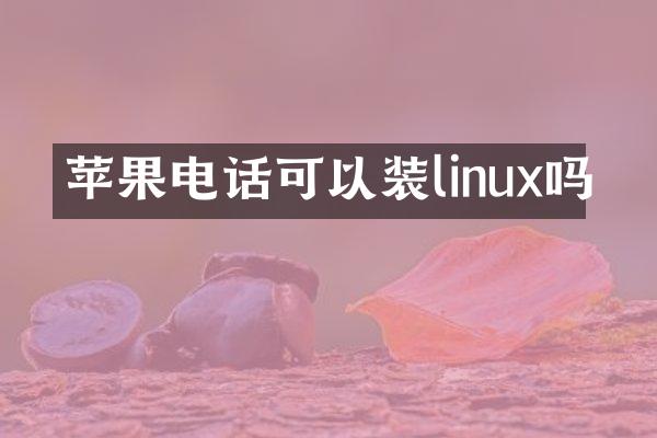 苹果电话可以装linux吗
