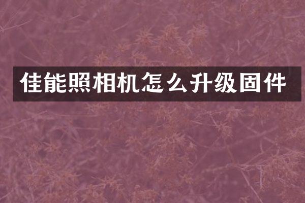 佳能照相机怎么升级固件