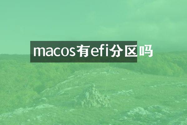 macos有efi分区吗