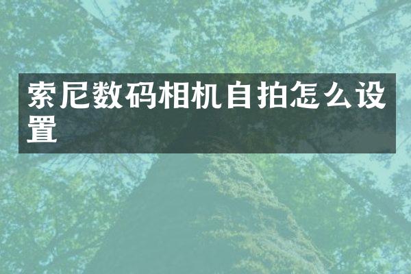 数码相机怎么设置
