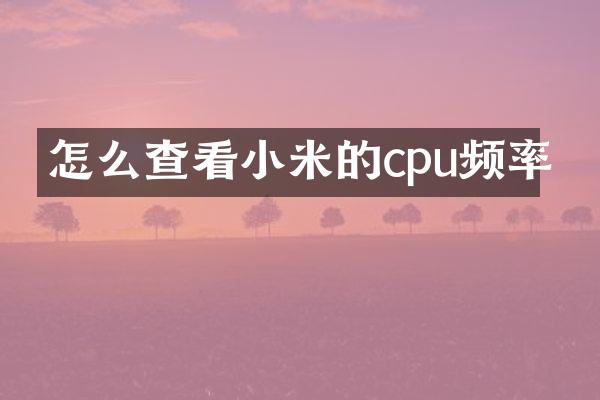 怎么查看小米的cpu频率