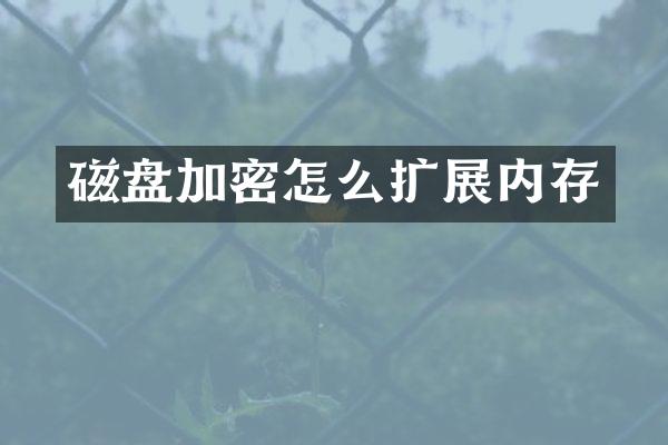 磁盘加密怎么扩展内存
