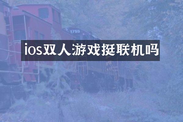 ios双人游戏挺联机吗