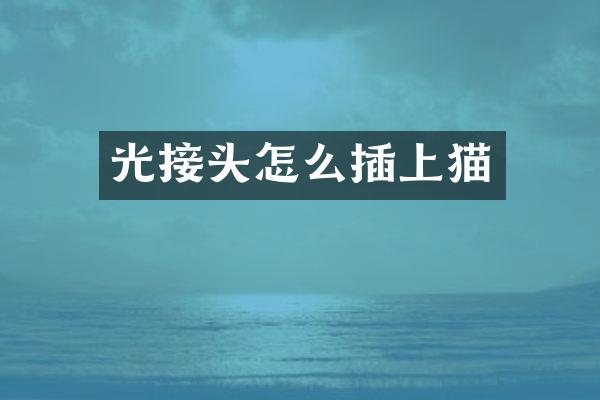 光接头怎么插上猫