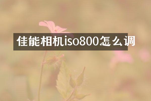 佳能相机iso800怎么调