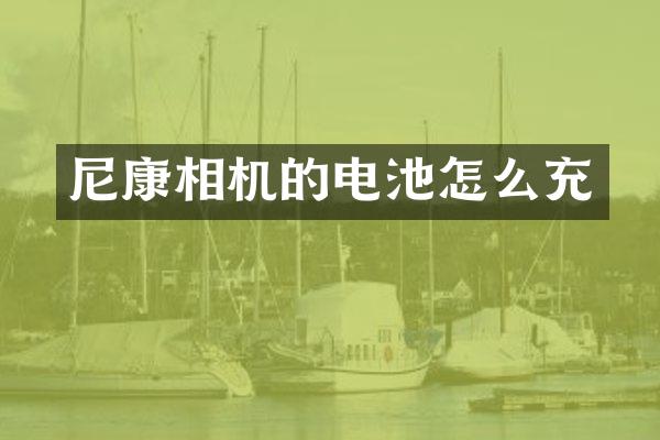 尼康相机的电池怎么充