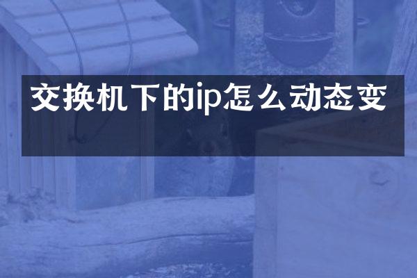 交换机下的ip怎么动态变更