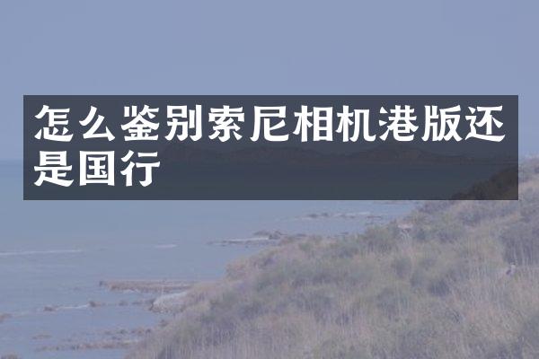 怎么鉴别相机港版还是国行