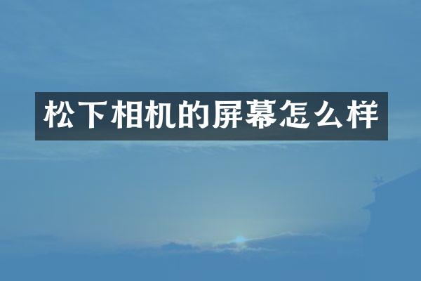 相机的屏幕怎么样