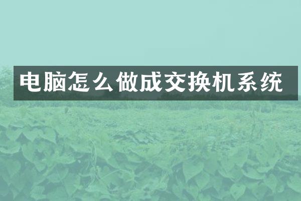 电脑怎么做成交换机系统