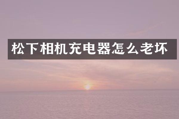 相机充电器怎么老坏