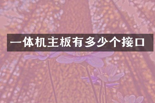 一体机主板有多少个接口