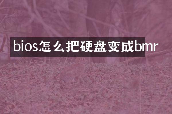 bios怎么把硬盘变成bmr
