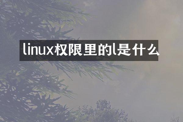 linux权限里的l是什么