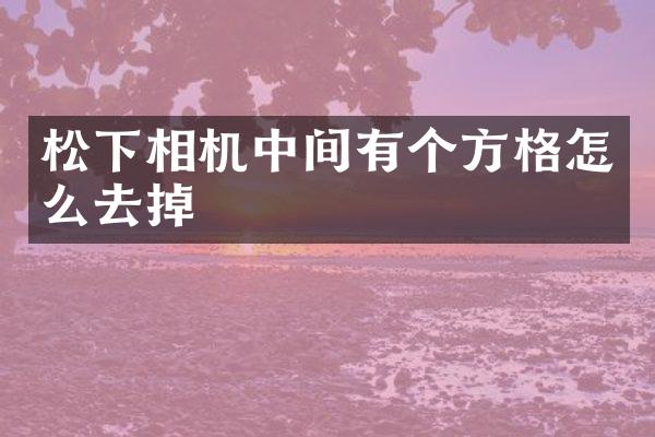 相机中间有个方格怎么去掉