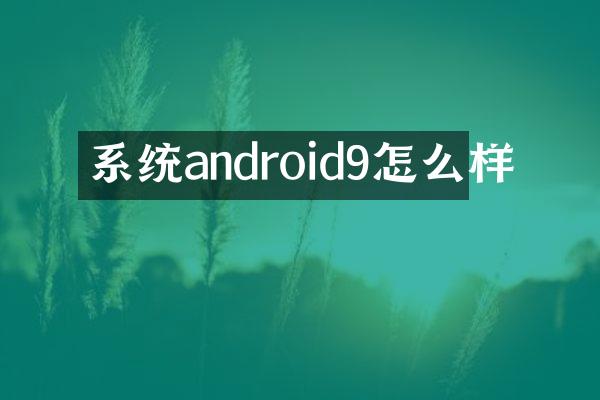 系统android9怎么样