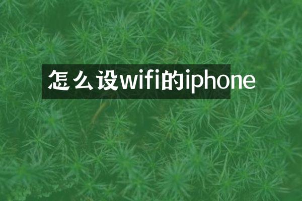 怎么设wifi的iphone