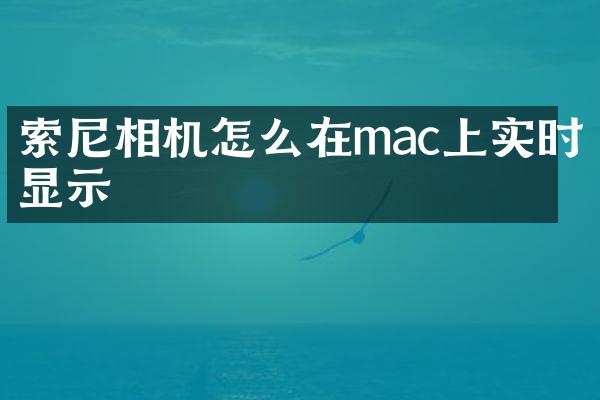 相机怎么在mac上实时显示