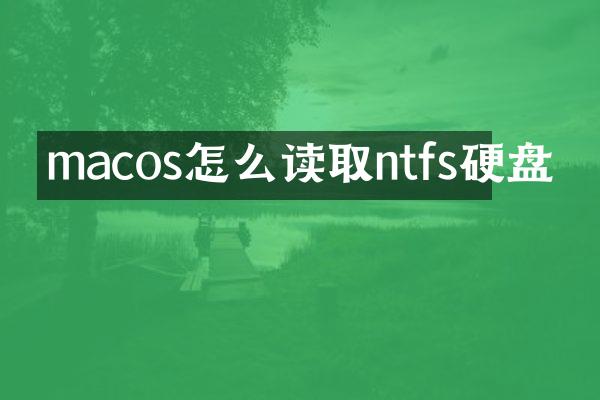 macos怎么读取ntfs硬盘
