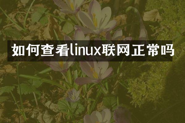 如何查看linux联网正常吗