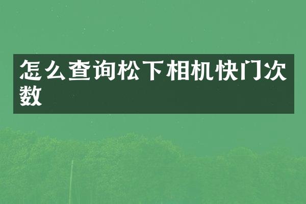 怎么查询相机快门次数