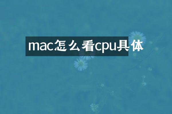 mac怎么看cpu具体