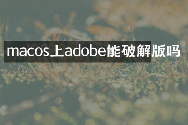 macos上adobe能破解版吗