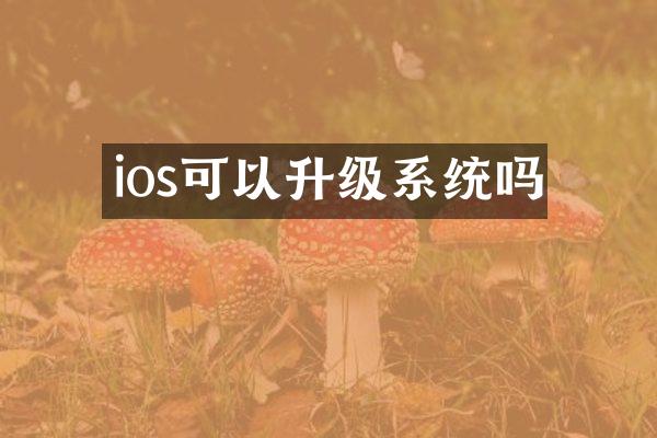 ios可以升级系统吗