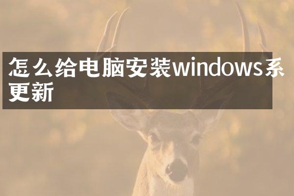 怎么给电脑安装windows系统更新