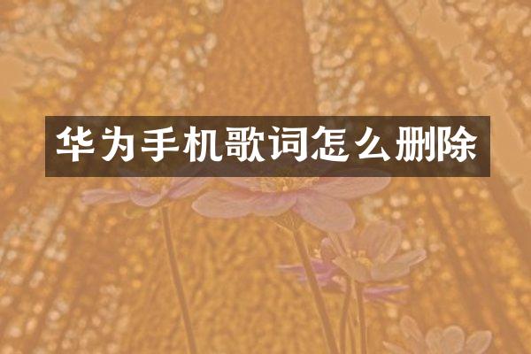 华为手机歌词怎么删除