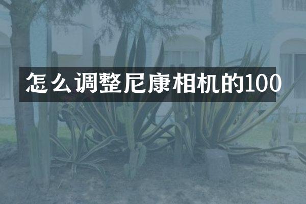 怎么调整尼康相机的100