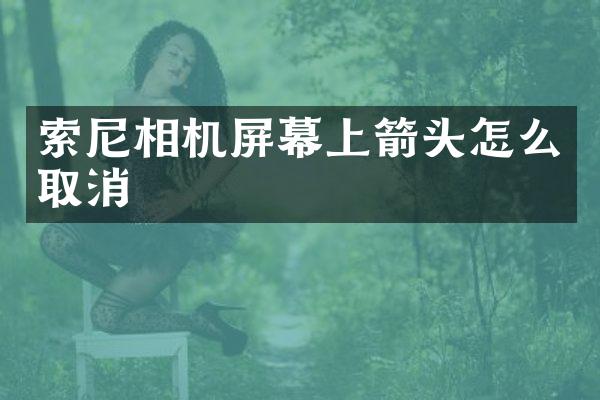 相机屏幕上箭头怎么取消