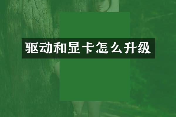 驱动和显卡怎么升级