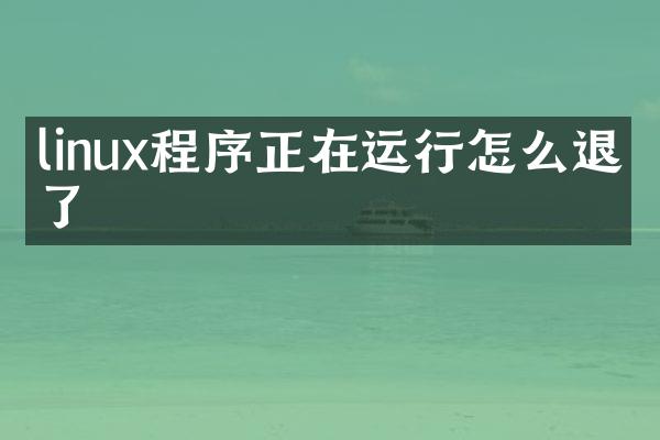 linux程序正在运行怎么退出了