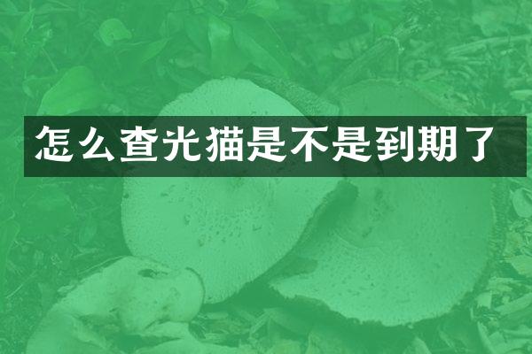 怎么查光猫是不是到期了