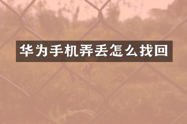 华为手机弄丢怎么找回